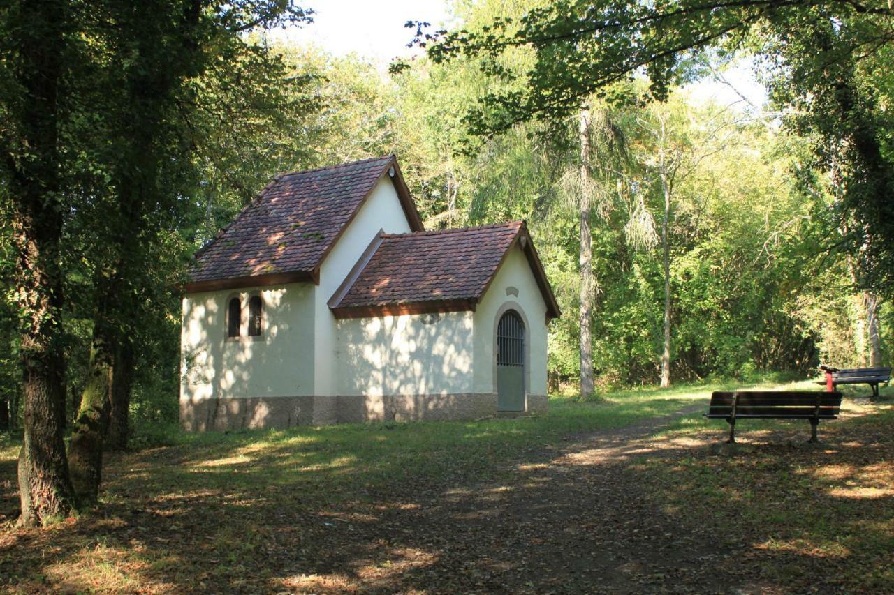 Villa Bonheur Illfurth Alsace 4 Chambres Exterior photo